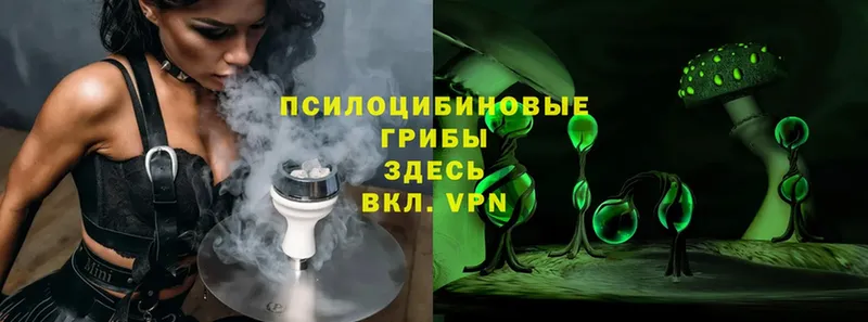 blacksprut сайт  Бодайбо  Галлюциногенные грибы MAGIC MUSHROOMS 